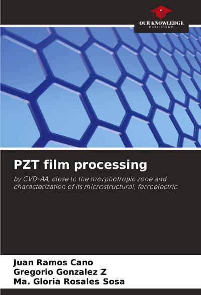 PZT film processing