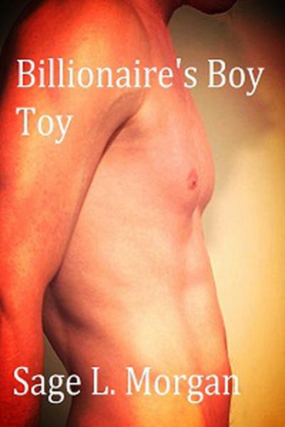 Billionaire’s Boy Toy