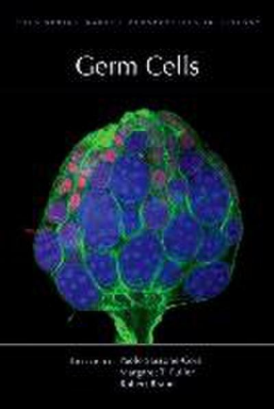 Germ Cells