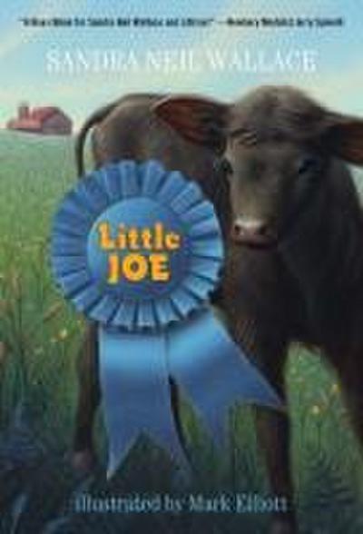Little Joe