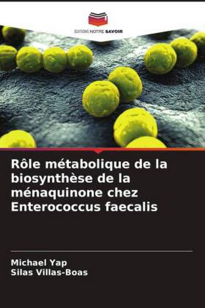 Rôle métabolique de la biosynthèse de la ménaquinone chez Enterococcus faecalis