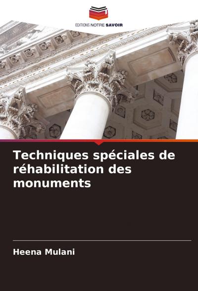 Techniques spéciales de réhabilitation des monuments