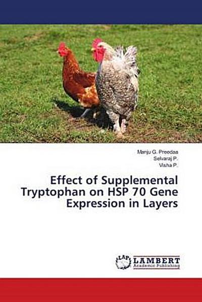Effect of Supplemental Tryptophan on HSP 70 Gene Expression in Layers