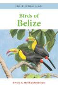 Birds of Belize