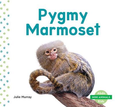 Pygmy Marmoset