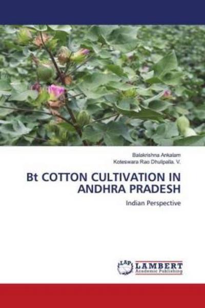 Bt COTTON CULTIVATION IN ANDHRA PRADESH