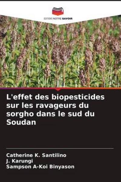 L’effet des biopesticides sur les ravageurs du sorgho dans le sud du Soudan