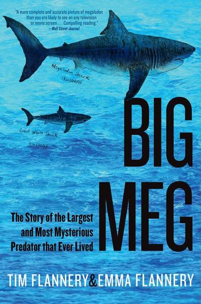 Big Meg
