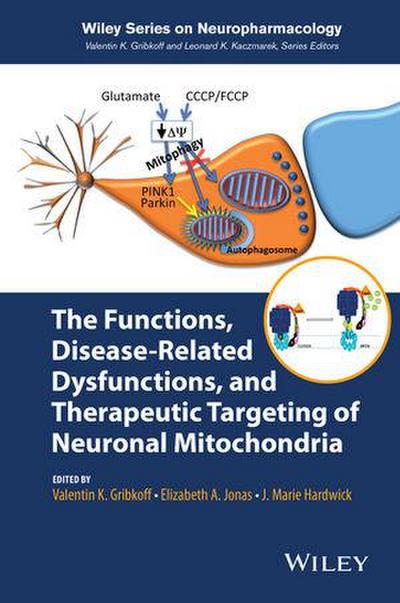 The Functions, Disease-Related Dysfunctions, and Therapeutic Targeting  of Neuronal Mitochondria