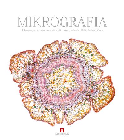 MikroGrafia - Pflanzenquerschnitte unter dem Mikroskop 2024