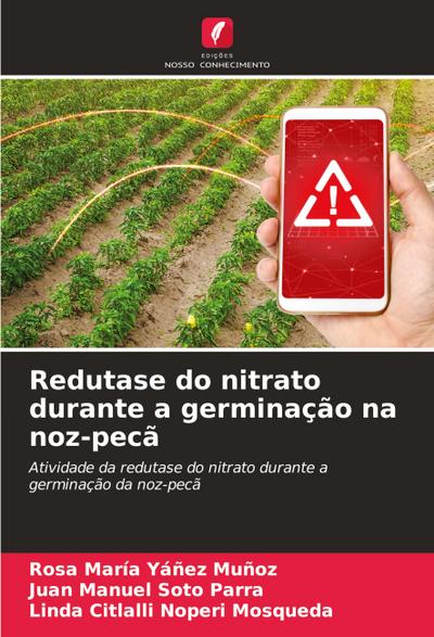Redutase do nitrato durante a germinação na noz-pecã