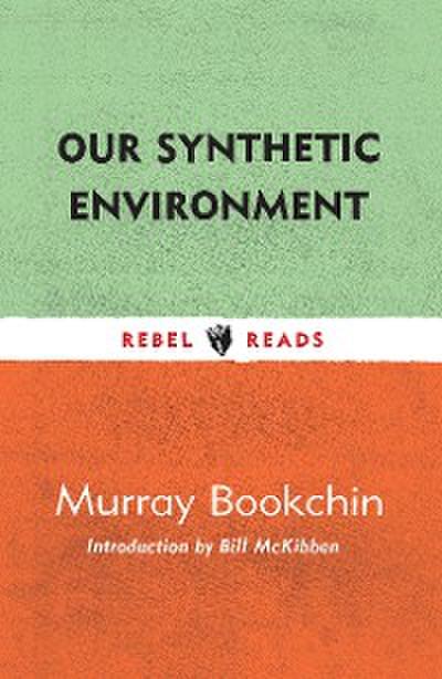 Our Synthetic Environment