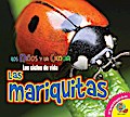 Las mariquitas