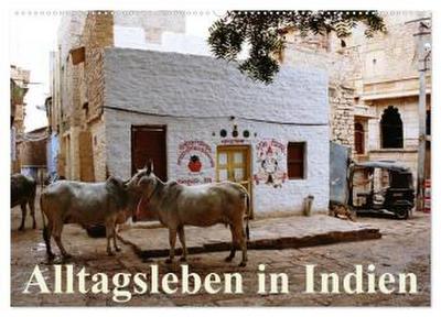 Alltagsleben in Indien (Wandkalender 2026 DIN A2 quer), CALVENDO Monatskalender