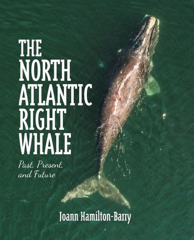 The North Atlantic Right Whale