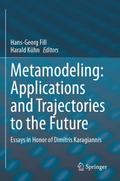 Metamodeling: Applications and Trajectories to the Future