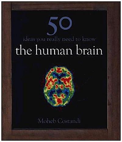 50 Human Brain Ideas You Really Need to Know