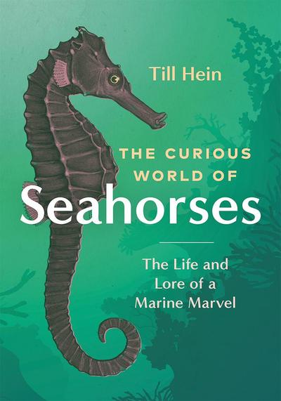 The Curious World of Seahorses