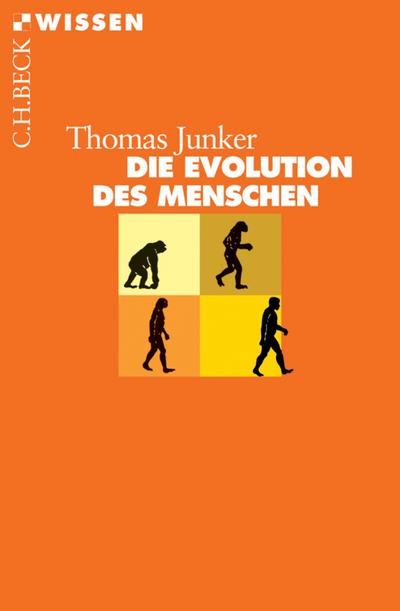 Junker, T: Evolution des Menschen