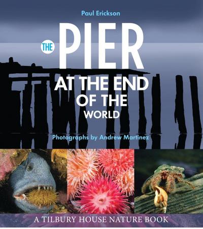 Pier at the End of the World