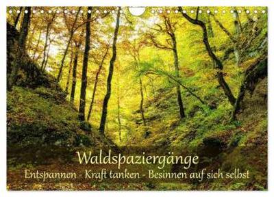 Waldspaziergänge: Entspannen - Kraft tanken - Besinnen auf sich selbst (Wandkalender 2027 DIN A4 quer), CALVENDO Monatskalender