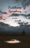 Puddlestep Symphony