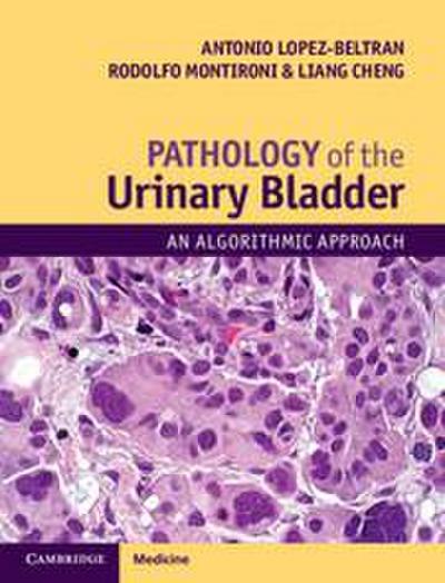 Pathology of the Urinary Bladder