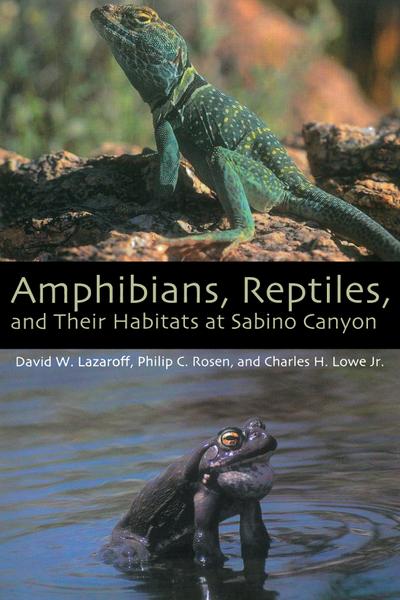 Amphibians, Reptiles, and Their Habitats at Sabino Canyon