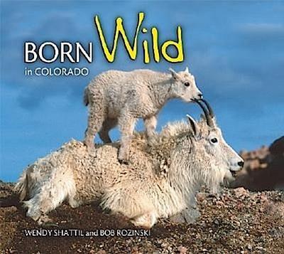 Born Wild in Colorado