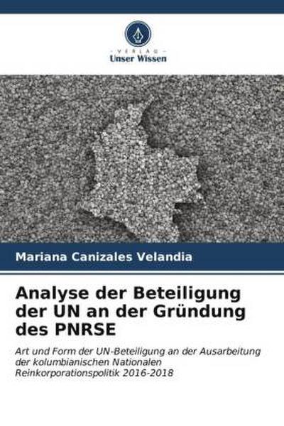Analyse der Beteiligung der UN an der Gründung des PNRSE