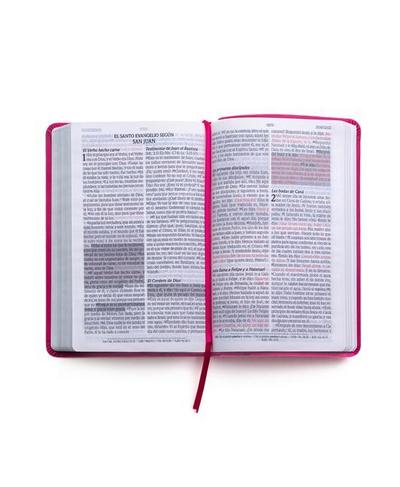 Biblia de Promesas Reina Valera 1960 Tamaño Manual Letra Grande Piel Fucsia Promise Bible Rvr60 Large Print