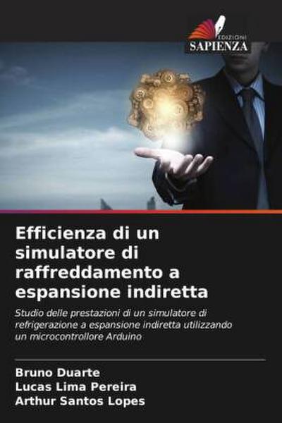 Efficienza di un simulatore di raffreddamento a espansione indiretta