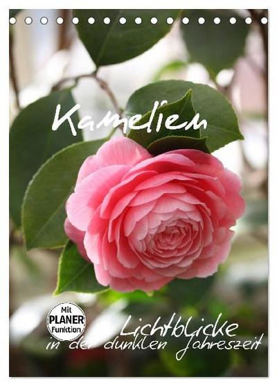 Kamelien Lichtblicke in der dunklen Jahreszeit (Tischkalender 2027 DIN A5 hoch), CALVENDO Monatskalender