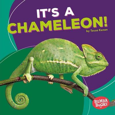 It’s a Chameleon!