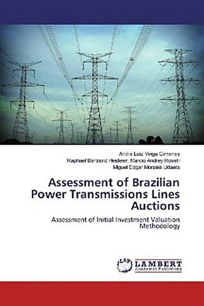 Assessment of Brazilian Power Transmissions Lines Auctions