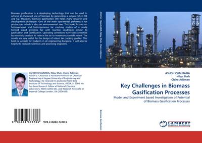 Key Challenges in Biomass Gasification Processes