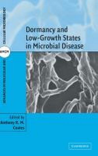 Dormancy and Low Growth States in Microbial Disease