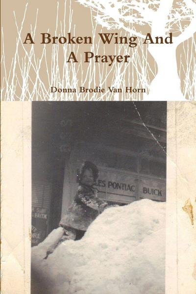 A Broken Wing And A Prayer