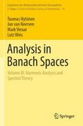 Analysis in Banach Spaces