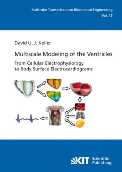 Multiscale Modeling of the Ventricles: From Cellular Electrophysiology to Body Surface Electrocardiograms