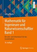Mathematik für Ingenieure und Naturwissenschaftler 1