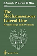 Mechanosensory Lateral Line