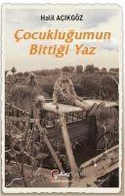 Cocuklugumun Bittigi Yaz