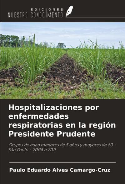 Hospitalizaciones por enfermedades respiratorias en la región Presidente Prudente