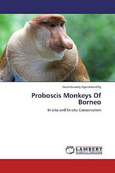 Proboscis Monkeys Of Borneo