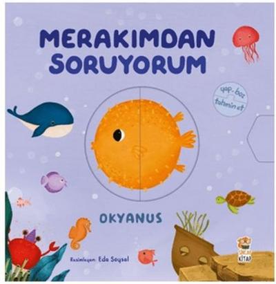 Merakimdan Soruyorum - Okyanus