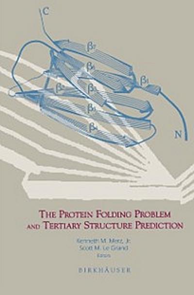 Protein Folding Problem and Tertiary Structure Prediction