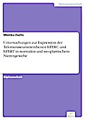 Untersuchungen zur Expression der Telomeraseuntereinheiten hTERC und hTERT in normalen und neoplastischem Nierengewebe