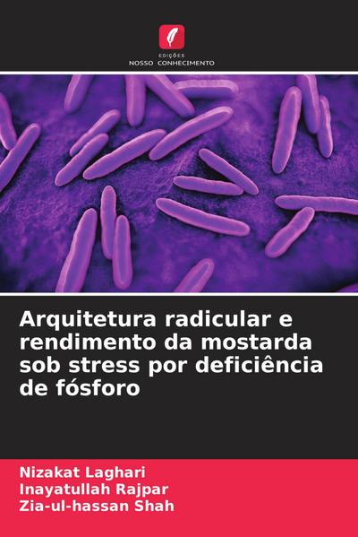 Arquitetura radicular e rendimento da mostarda sob stress por deficiência de fósforo