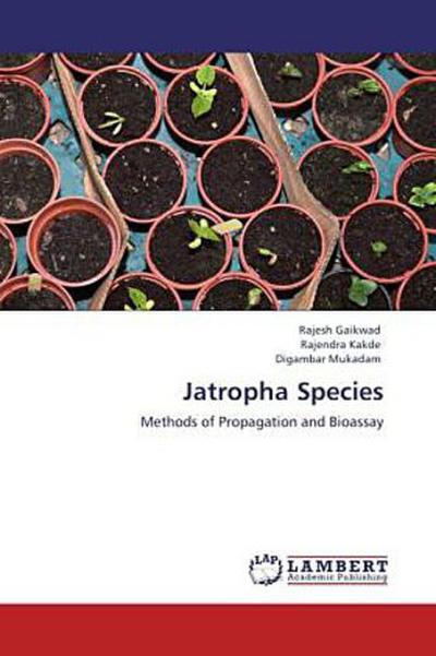 Jatropha Species